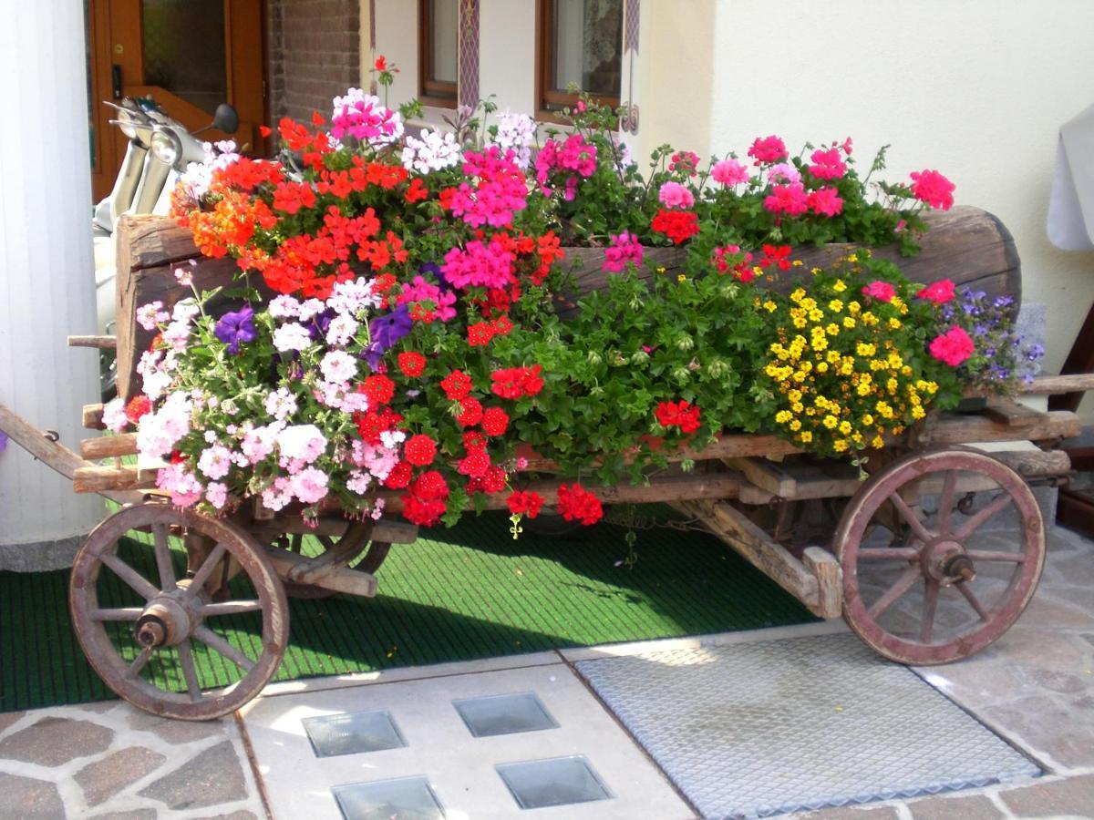פלקאדה Park Hotel Arnica מראה חיצוני תמונה