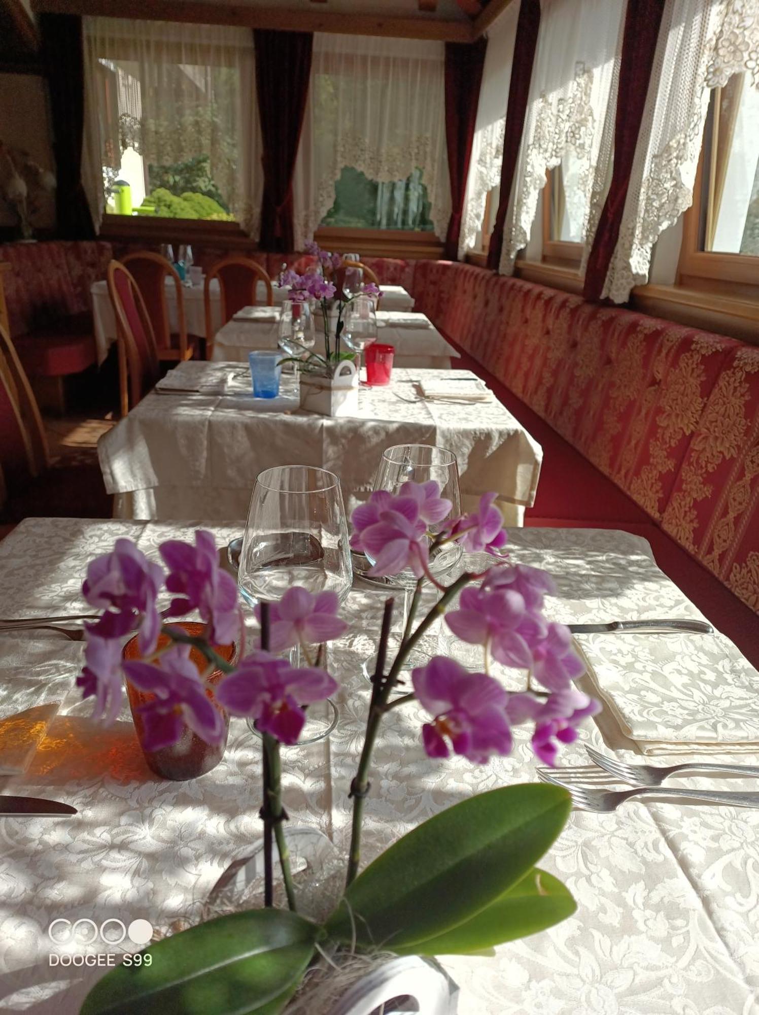 פלקאדה Park Hotel Arnica מראה חיצוני תמונה